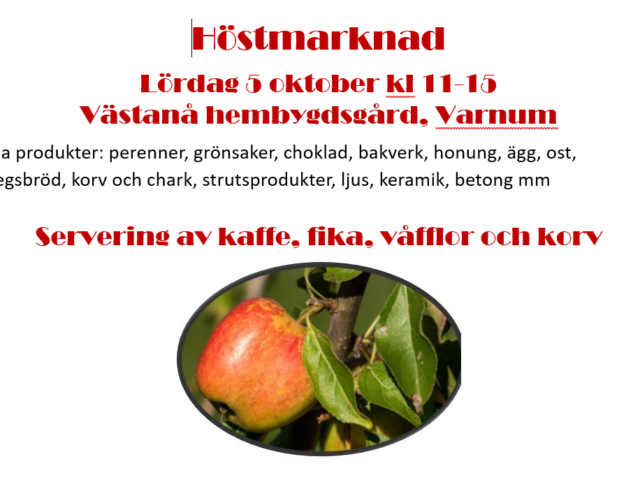 5/10 Höstmarknad